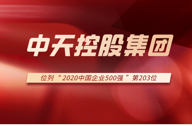 PG国际集团列2020中国企业500强第203位！